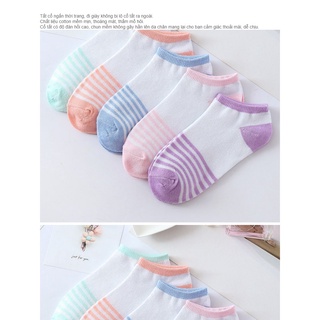 Set 5 đôi vớ,tất nữ hàng đẹp