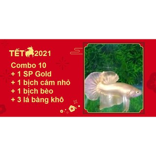 Combo betta food 10 spg - thức ăn cho cá