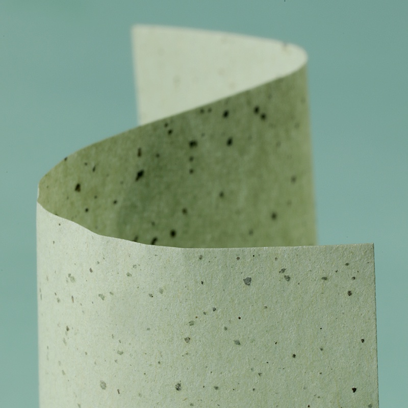 Set 100 tờ giấy thấm dầu BAIMISS hương trà xanh độc đáo | BigBuy360 - bigbuy360.vn