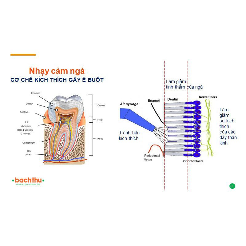 Nước súc miệng ASIN sensitive nano, nước súc miệng cho răng nhạy cảm ê buốt giúp bảo vệ và tái khoáng men răng