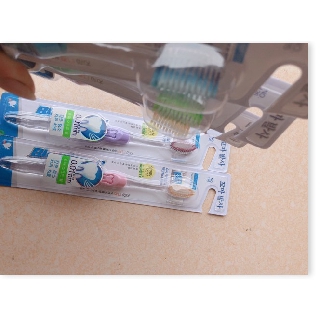 Bàn chải Hàn Quốc 10 Chiếc