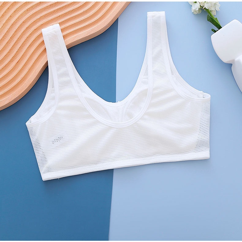 Mẫu Áo Lá Cotton Có Đệm Mút Cho Bé Gái Đi Học