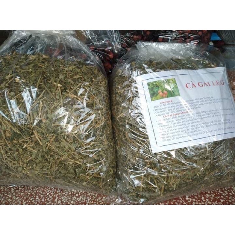 Cà gai leo chữa viêm gan- giải độc gan 1kg | BigBuy360 - bigbuy360.vn