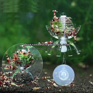 ĐỒ CHƠI TÉP ĐA NĂNG TRANG TRÍ HỒ TÉP SINH ĐỘNG | GIẢM STRESS CHO TÉP