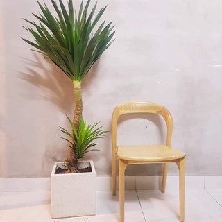 Chậu xi măng đá mài VUÔNG 25*25*25