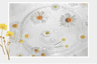 Flowertree 6 Mẫu Sticker Dán Trang Trí Nhật Ký