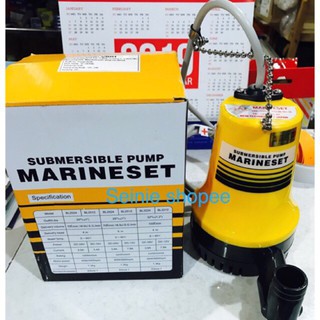 Máy bơm chìm 12V ( bơm thả)