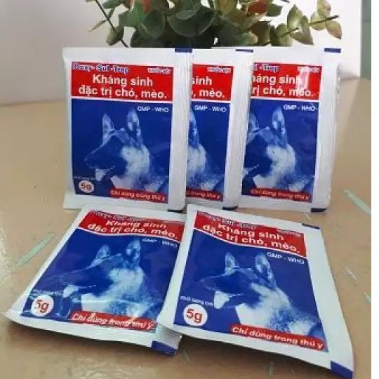 Combo 5 gói Kháng sinh đặc trị chó, mèo - Doxy Sul Trep 5g