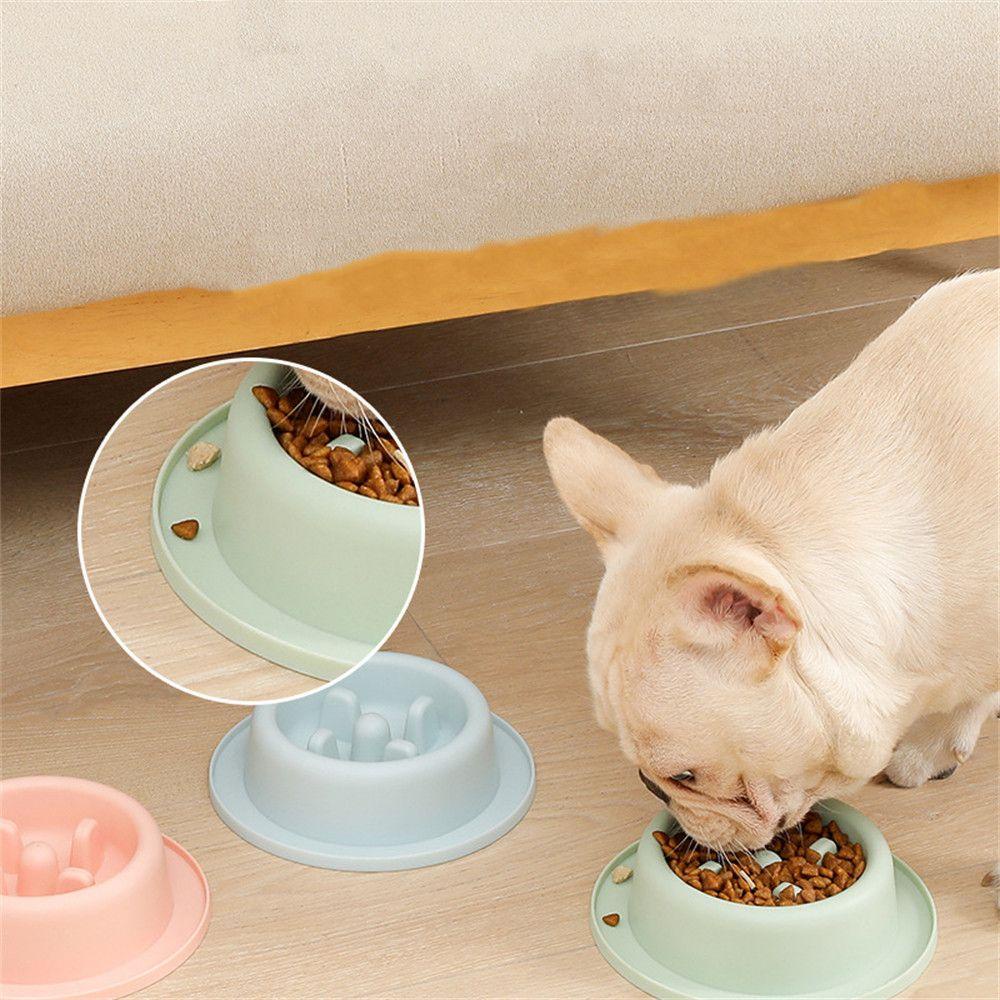 Bát Đựng Thức Ăn Chậm Chống Sặc Bằng Nhựa Chống Trượt Dành Cho Thú Cưng