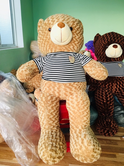 VỎ TEDDY 1m2