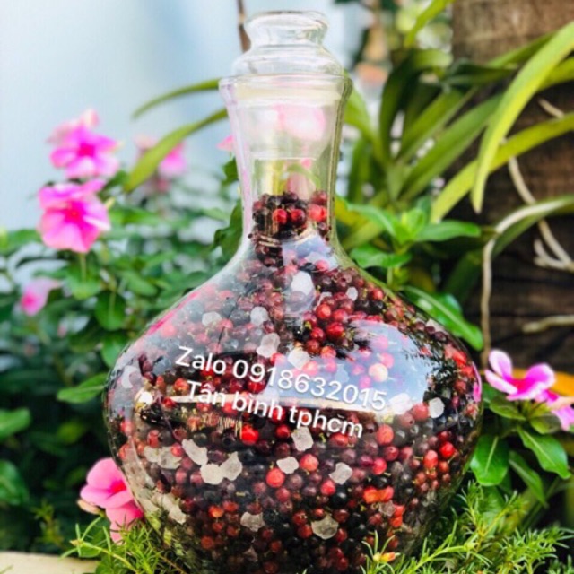 Bình thủy tinh dạng bầu 5 lit