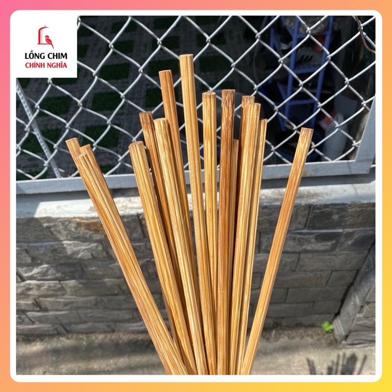 Cầu chào mào tre già, chạy rãnh hàng độc lạ kích thước 40cm - phụ kiện lồng chim cao cấp