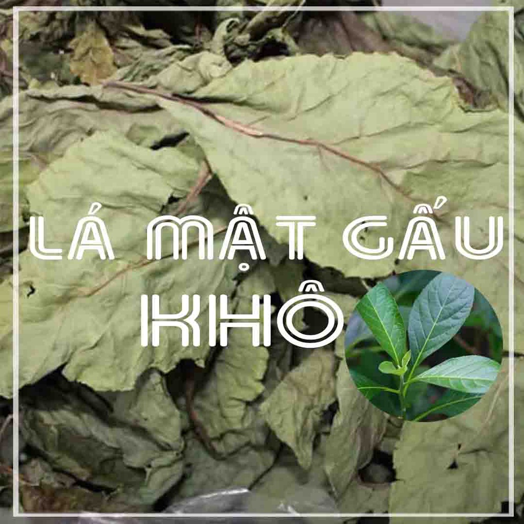 LÁ MẬT GẤU (Lá Đắng) khô đóng gói 500g