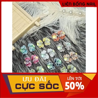 hoa bột nail - hoa cúc mắt mèo