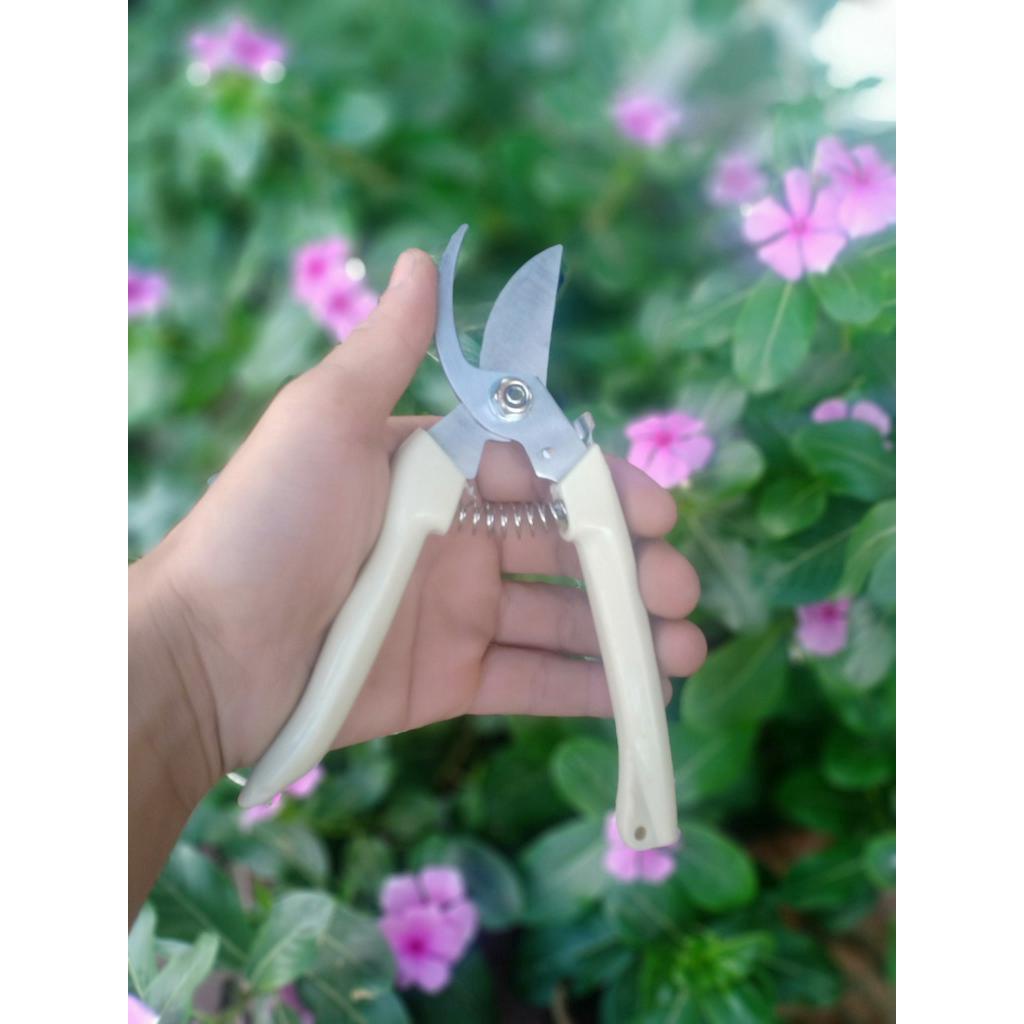 Kéo cắt tải cây Nhật bản Scissors