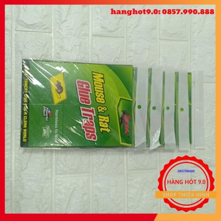 Combo 10 miếng dính chuột cao cấp