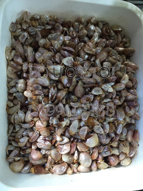 THỊT BÒ KHÔ ƯỚT TỎI - BÒ MIẾNG ƯỚT TỎI Gói 100g | BigBuy360 - bigbuy360.vn