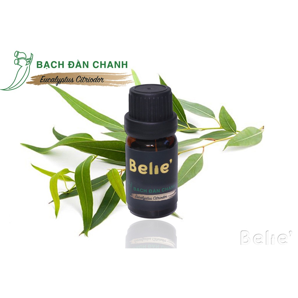 Tinh Dầu Bạch đàn chanh 10ml Belie' làm mỹ phẩm, xông thơm, thư giãn, giảm stress, khử mùi hôi phòng