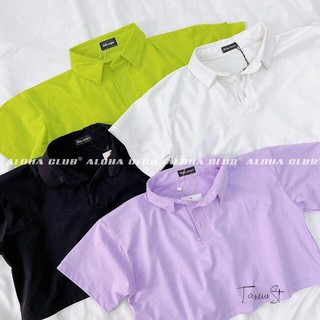 Áo thun nữ | Áo croptop trơn tay lỡ cổ bẻ basic - CA33
