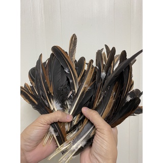 Lông Gà Thông Điếu Chuyên Dụng - Free Ship Extra