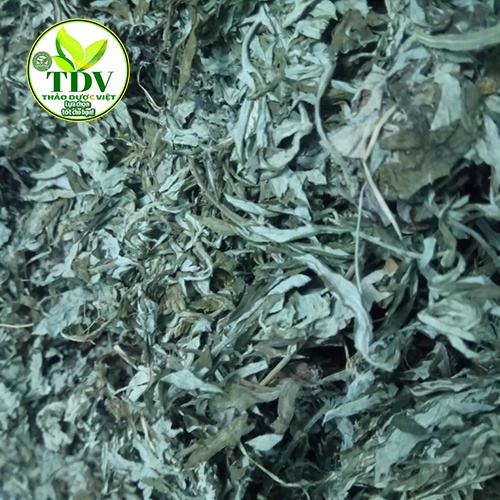 500gam Lá Ngải Cứu khô nguyên chất giúp thanh nhiệt