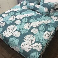 Set chăn ga gối trần bông poly 4 mónl