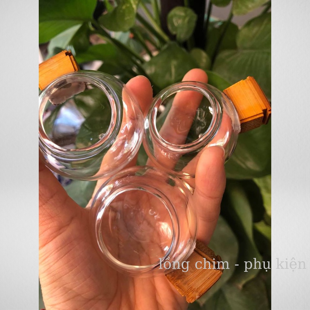 Cóng chim chào mào, họa mi( đủ bộ)  - Combo 3 cóng thủy tinh chào mào,họa mi kèm tai tàu cao cấp