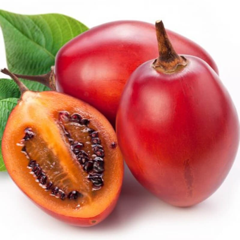 Cà chua thân gỗ Tamarillo Đà Lạt, 1kg quả tươi