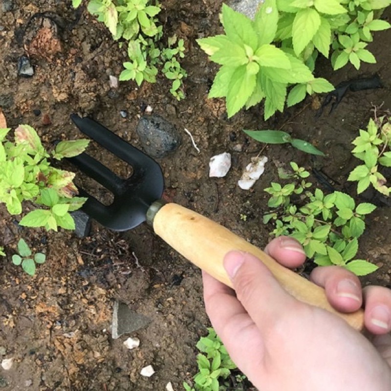 dụng cụ làn vườn cán gỗ