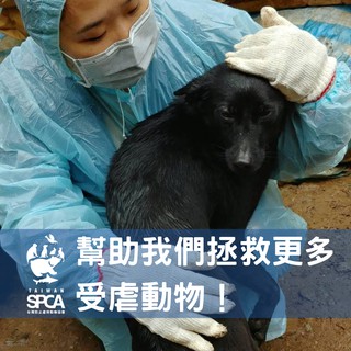 Image of 捐款支持｜與TSPCA一起幫助受虐動物