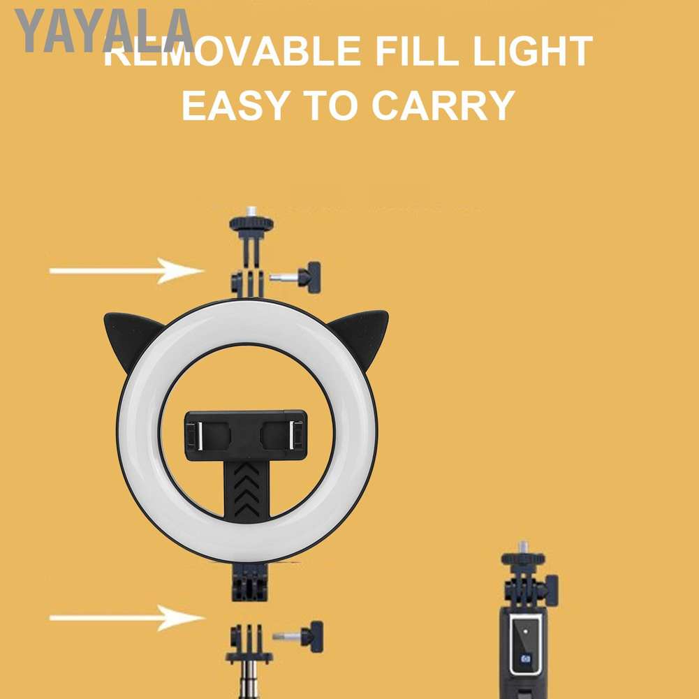 Đèn Led Tròn Hỗ Trợ Chụp Ảnh Selfie Kết Nối Bluetooth Tiện Dụng | BigBuy360 - bigbuy360.vn