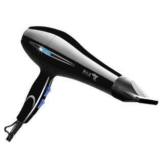Máy sấy tóc công suất lớn hai chiều