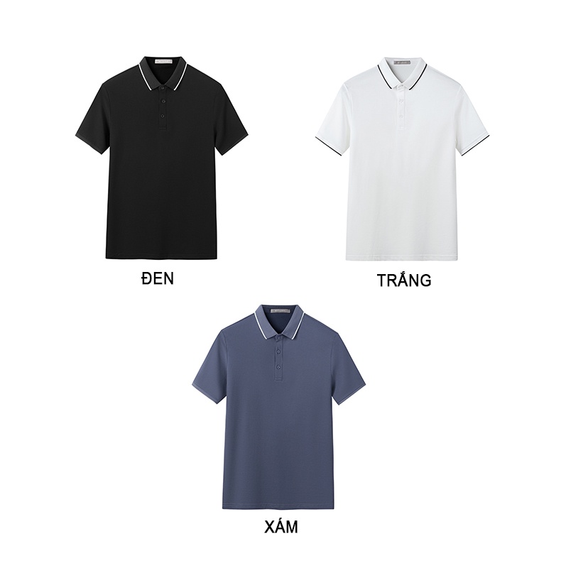 Áo thun POLO nam phối viền Trắng đủ 3 màu vải cá sấu Cotton xuất xịn, chuẩn form trẻ trung, thanh lịch - Trady Fashion | BigBuy360 - bigbuy360.vn