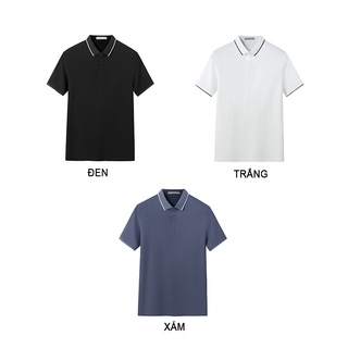 Áo polo nam TRADY trơn phối gân dọc màu sang trọng, lịch lãm