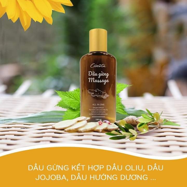 Dầu gừng massage Cenota, dầu dừng massage giảm đau chống cảm