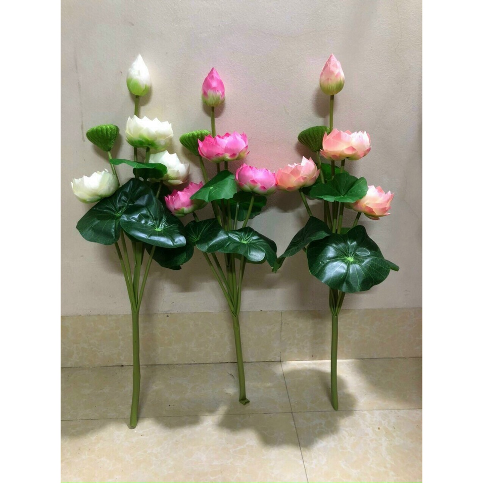 combo hoa sen lụa - hoa sen trang trí