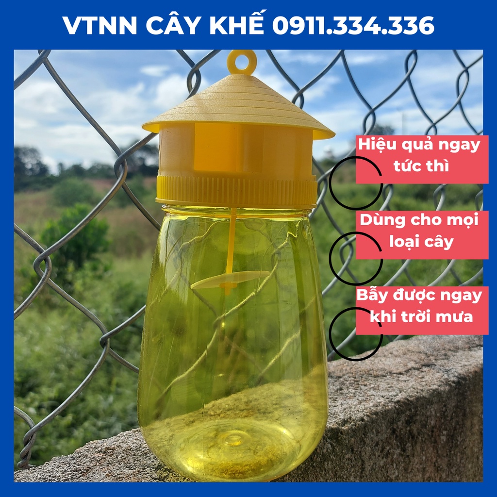 10 Bẫy Ruồi Vàng Đã Bao Gồm Thuốc Ruồi Vàng, Thuốc Diệt Ruồi Vàng