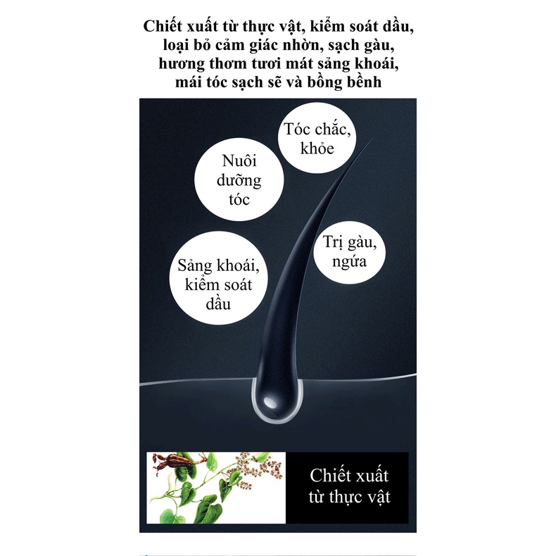 Dầu gội đầu cho nam giới SENXI 500ml mùi thơm, sạch gàu, da đầu hết ngứa, kiềm dầu, tóc óng mượt giảm rụng tóc SPT110041