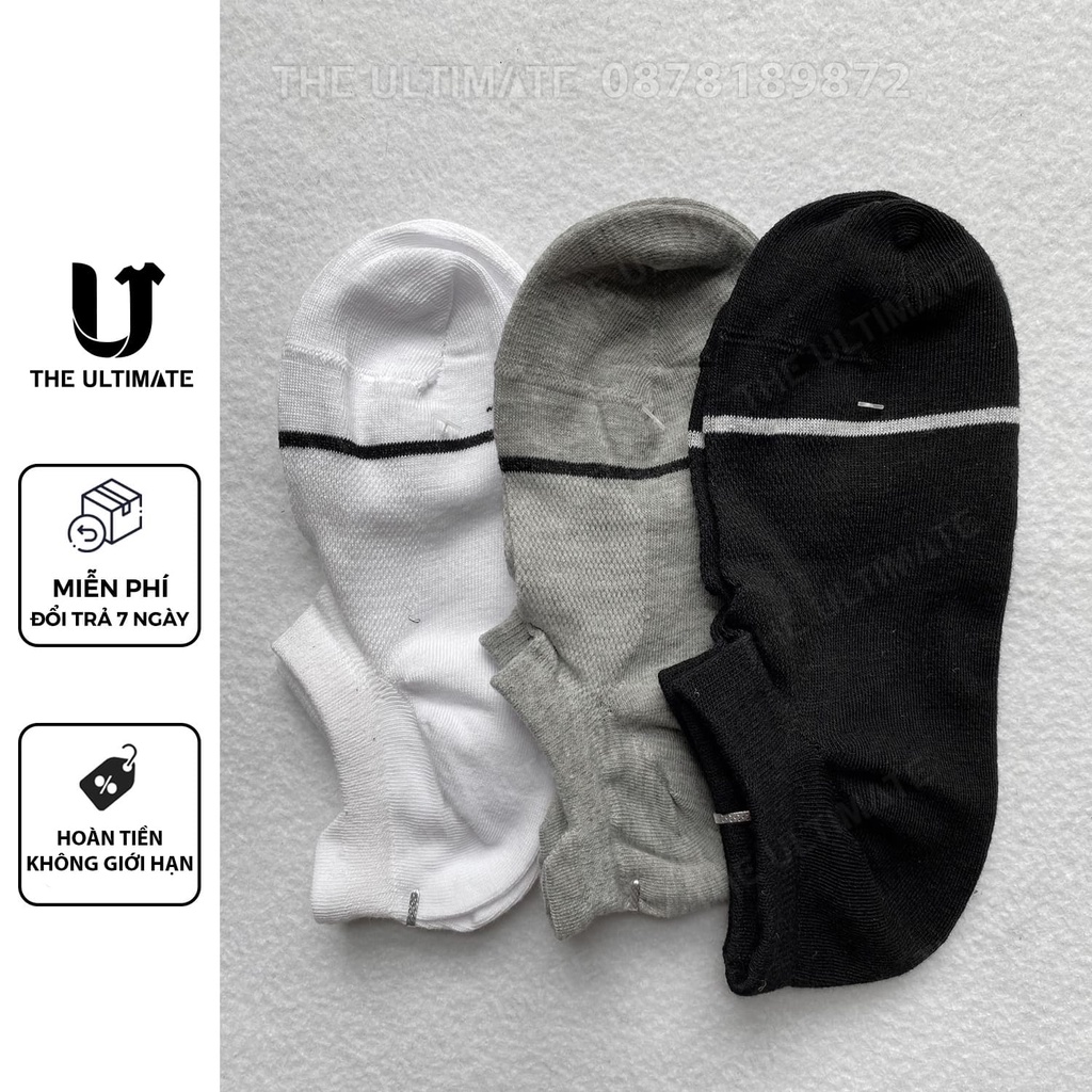 Tất cotton nữ Hàn Quốc 3 màu mềm mịn đàn hồi co giãn thoải mái êm chân The Ultimate