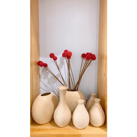 Hoa khô cắm trang trí gia đình,làm phụ kiện chụp ảnh sản phẩm