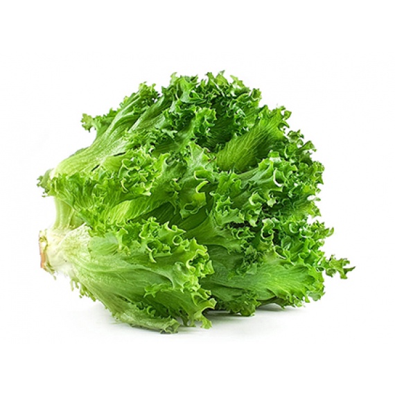 Gói 10 Gram Hạt Giống Xà Lách Xoăn Xanh + Mỡ  Chịu nhiệt tốt kháng bệnh cao Cửa hàng hạt giống tốt 95