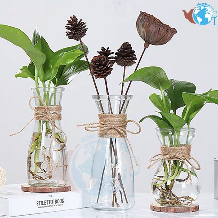 Combo 3 Bình Bông Lọ Hoa Thủy Tinh Loe Eo Lớn Eo Nhỏ / Tặng Kèm Dây Trang Trí / chọn phân loại 3 hoặc 2 lọ hoa