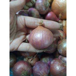 hành tím và tỏi