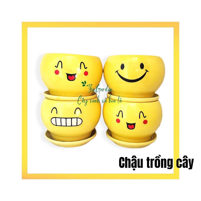 Chậu men trồng cây hình mặt cười