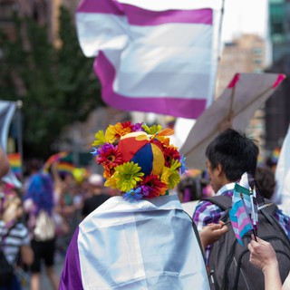 Cờ Vô tính, phổ Vô tính (Asexual/ LGBT)