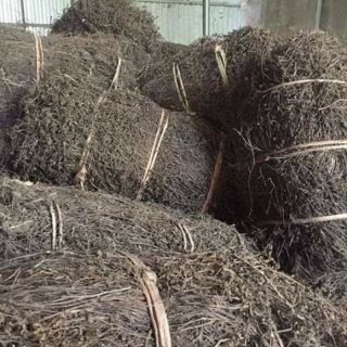 Lá thạch khô Cao Bằng 900g