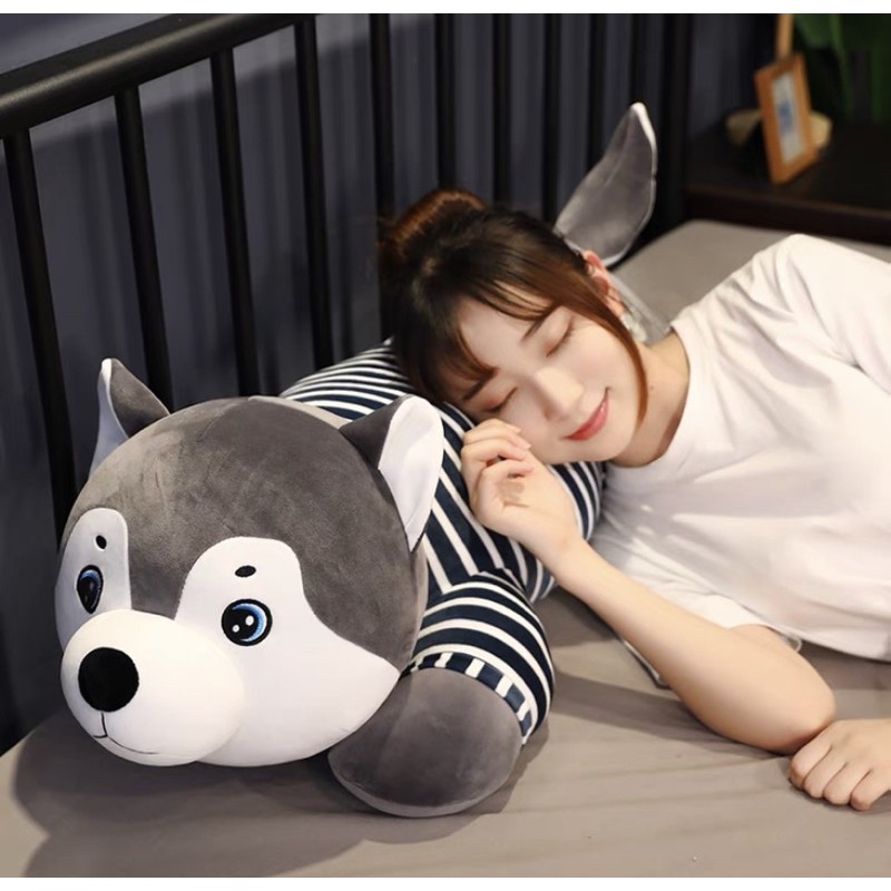 Chó Husky Mini 50cm-85cm✨Siêu Rẻ✨Chó Bông Husky mini loại kèm chăn và không chăn