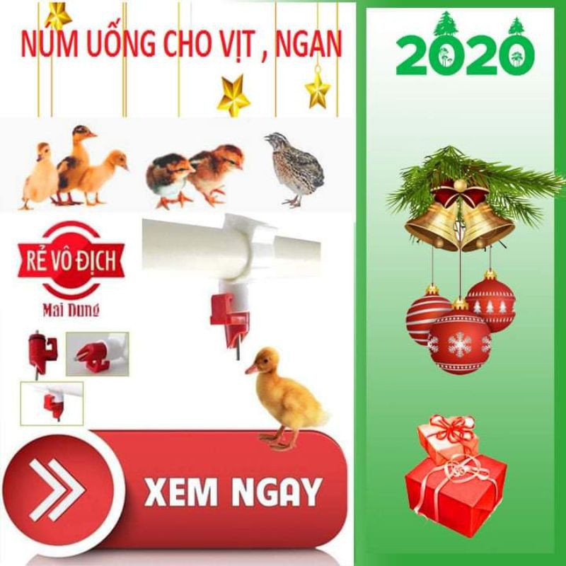 Núm uống tự động cho vịt , ngan , ngỗng - loại sịn