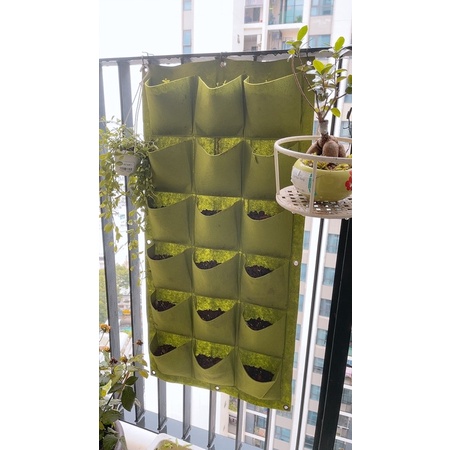 Túi trồng cây cảnh treo tường ở chung cư hoăc vườn 18 lỗ