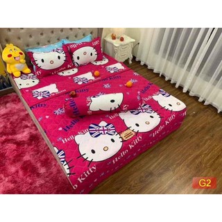 Bộ Chăn Ga Gối 5 Món Cotton Poly